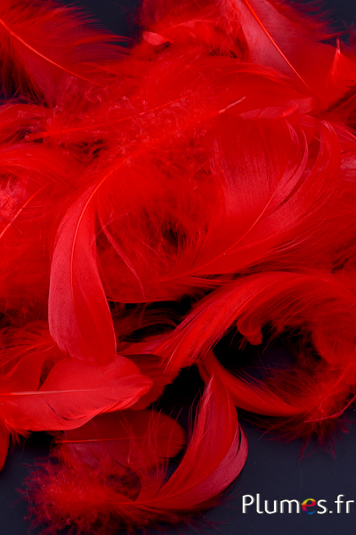 Oie - 4-6 cm - rouge